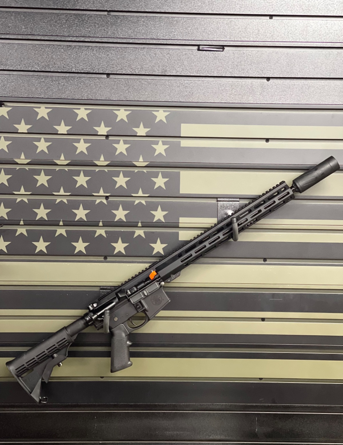 S&W 5.56 w Banish Supp. Round 2